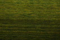 
    Gabbeh Rainbow - Green - 160 x 230 cm
  