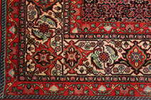 
    Bidjar Zanjan - Red - 240 x 340 cm
  
