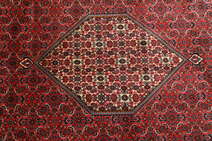 
    Bidjar Zanjan - Red - 240 x 340 cm
  