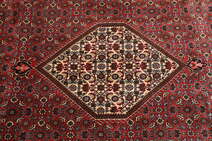 
    Bidjar Zanjan - Red - 250 x 345 cm
  