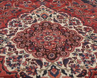 
    Bakhtiari Collectible - Dark red - 207 x 325 cm
  