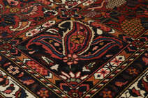 
    Bakhtiari Collectible - Black - 211 x 306 cm
  