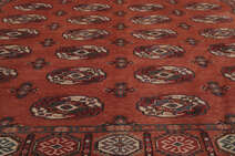 
    Kazak Fine - Dark red - 196 x 301 cm
  