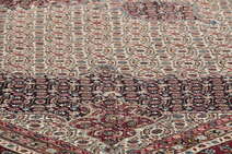 
    Moud Sherkat Farsh - Brown - 300 x 397 cm
  