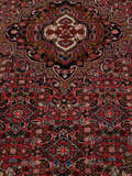 
    Bidjar - Dark red - 93 x 151 cm
  