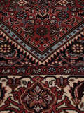 
    Bidjar - Dark red - 198 x 313 cm
  