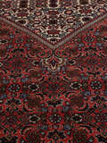 
    Bidjar - Dark red - 197 x 300 cm
  