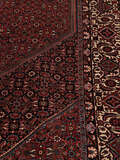 
    Bidjar Takab / Bukan - Red - 207 x 317 cm
  