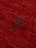 
    Gabbeh loom Two Lines - Red - 160 x 230 cm
  