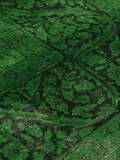 
    Colored Vintage - Turkiet - Dark green - 290 x 387 cm
  