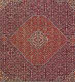 
    Tabriz 50 Raj - Dark red - 249 x 335 cm
  
