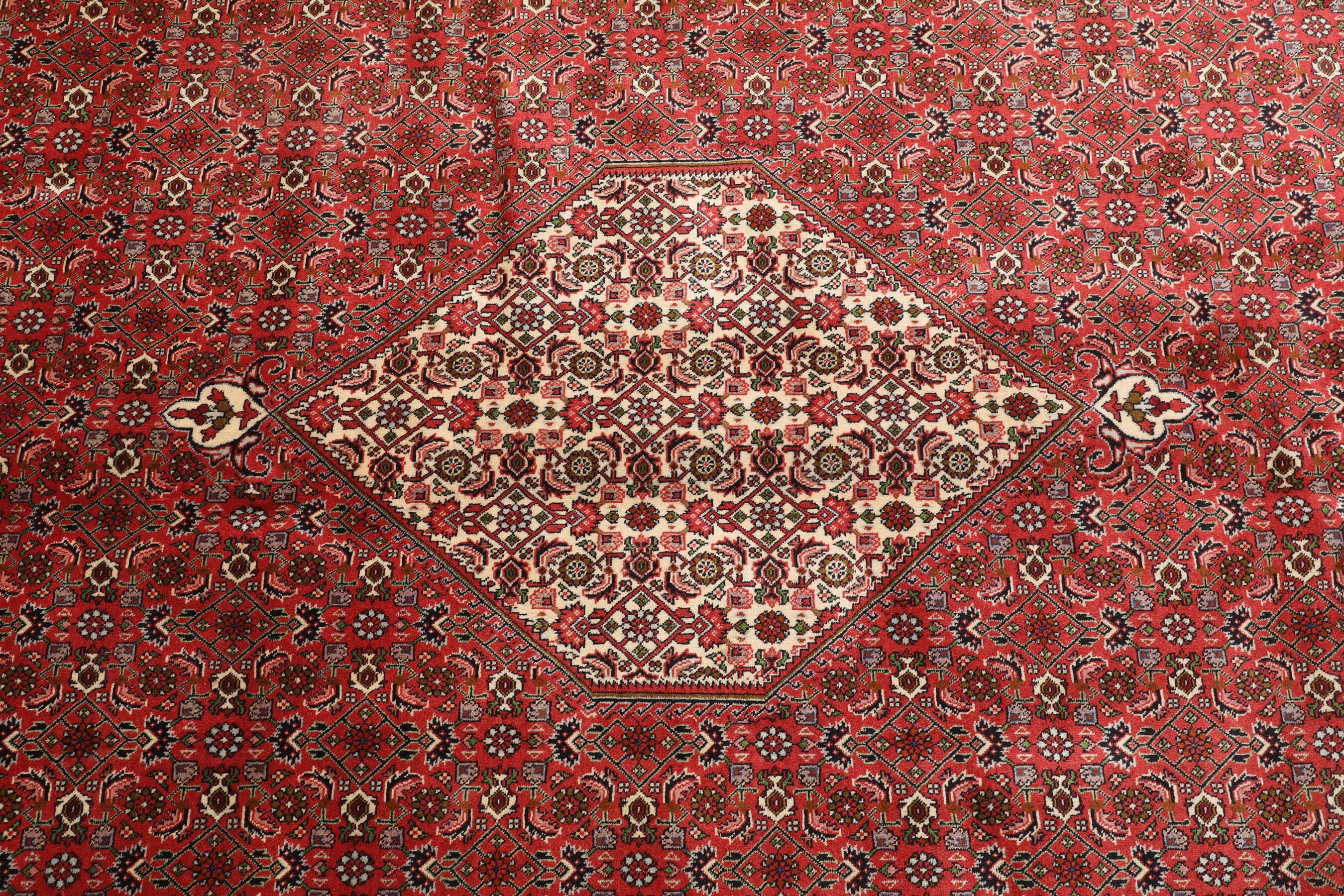 
    Bidjar Zanjan - Red - 300 x 390 cm
  