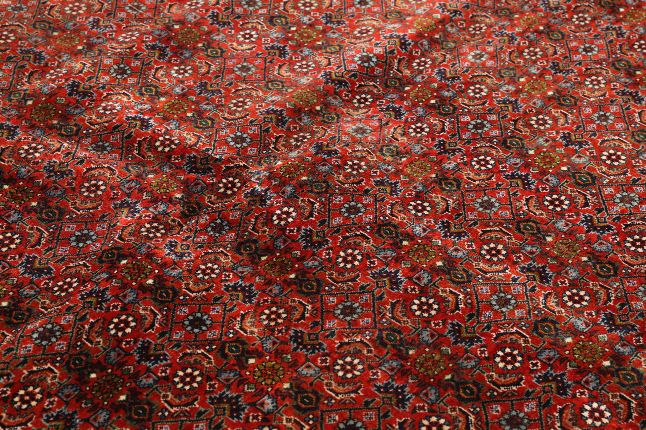 
    Bidjar with silk - Brown - 259 x 357 cm
  