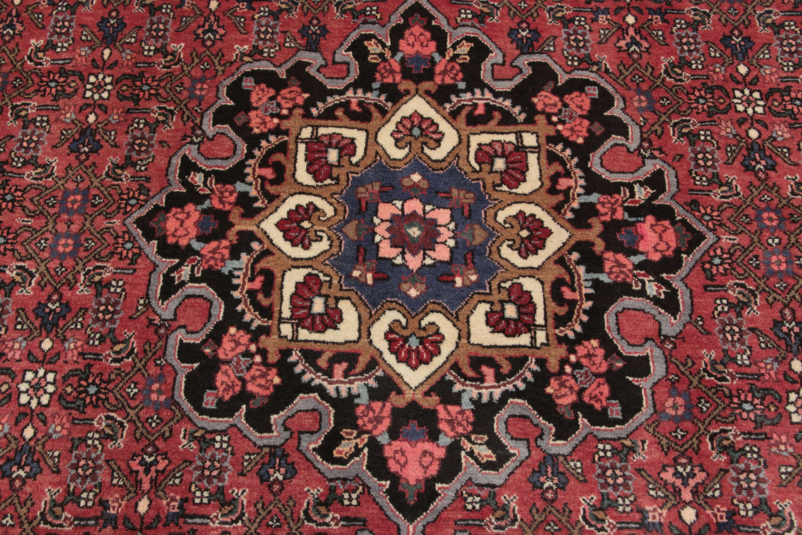 
    Bidjar - Red - 203 x 325 cm
  