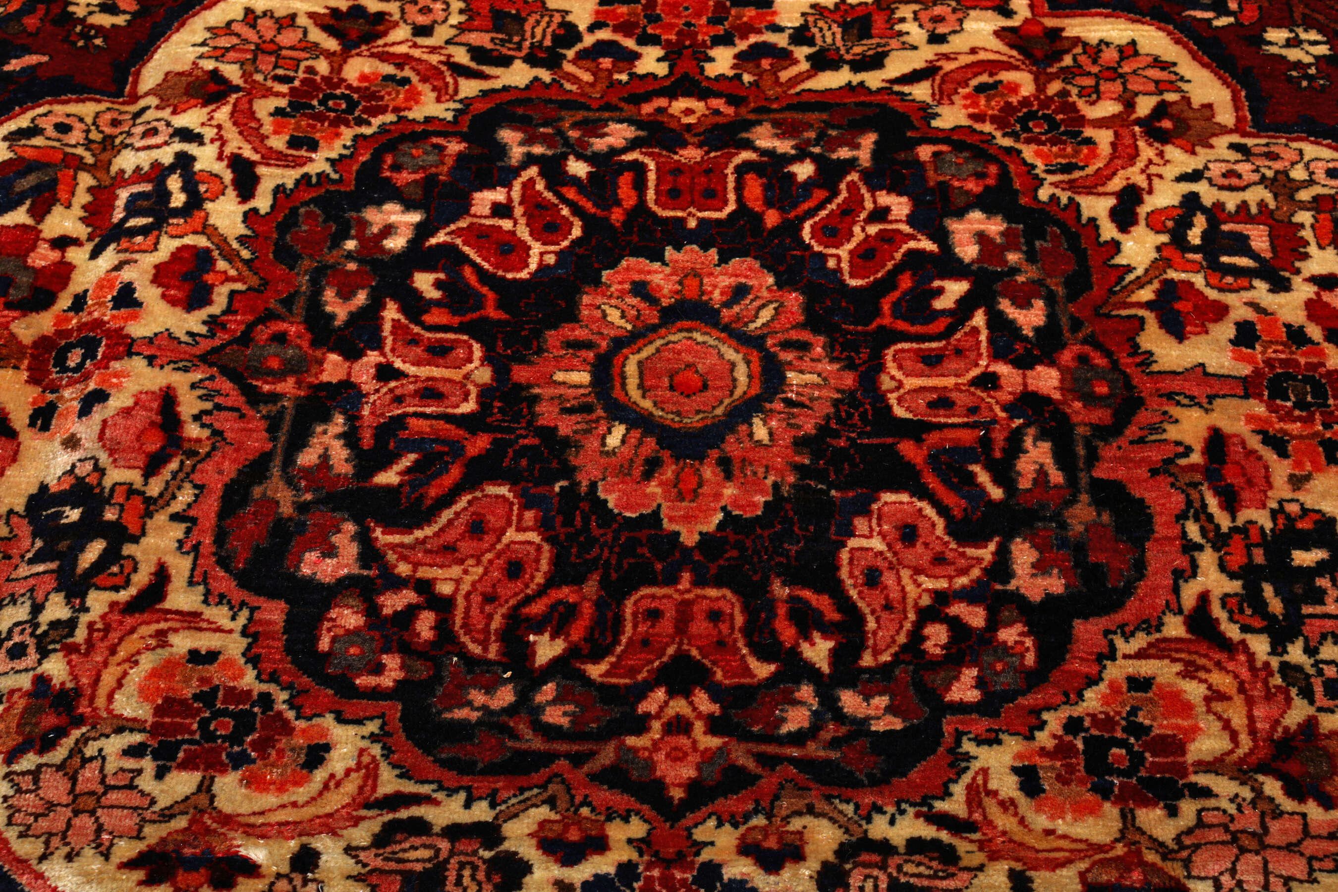 
    Bakhtiari - Red - 217 x 310 cm
  