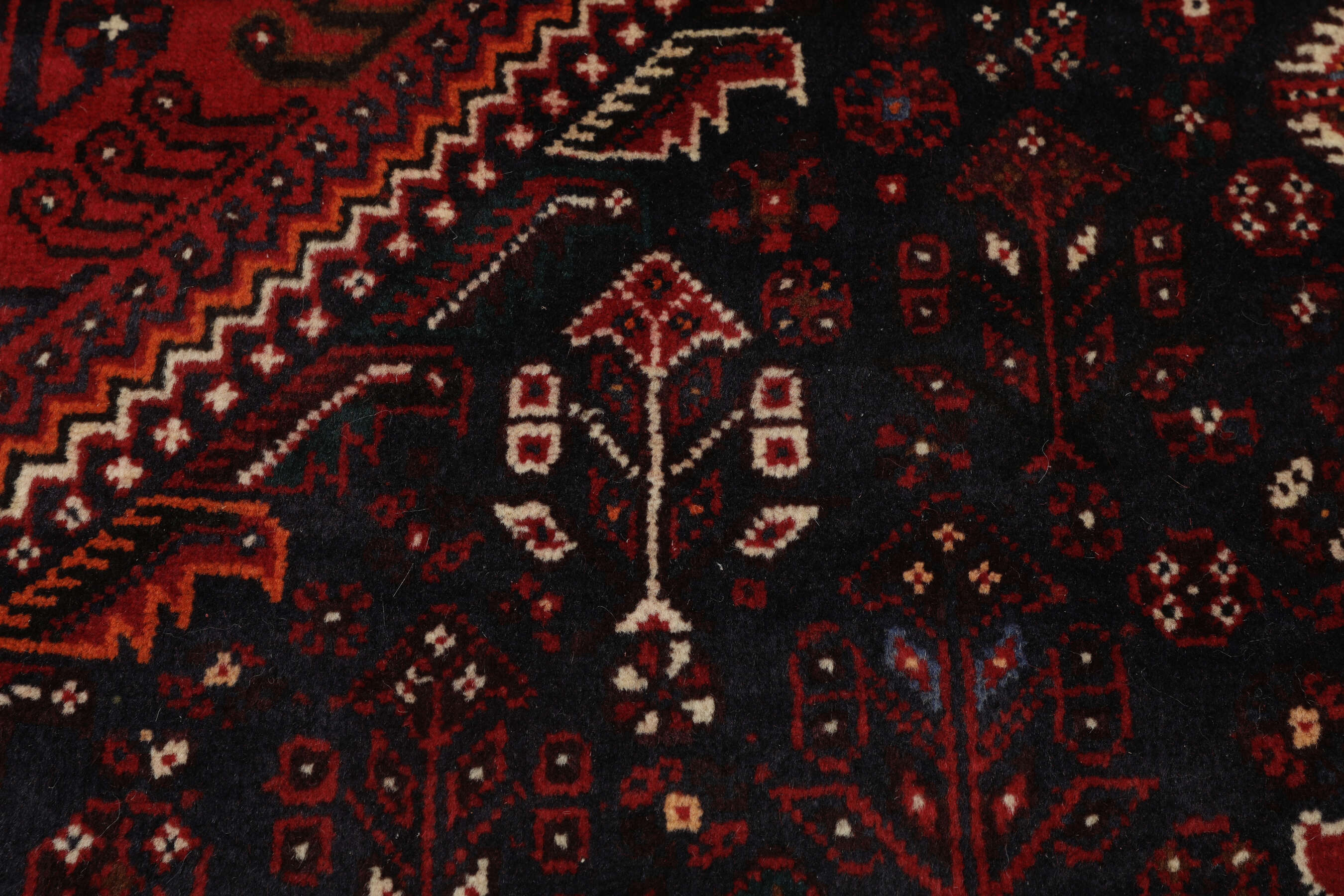 
    Shiraz - Black - 224 x 327 cm
  