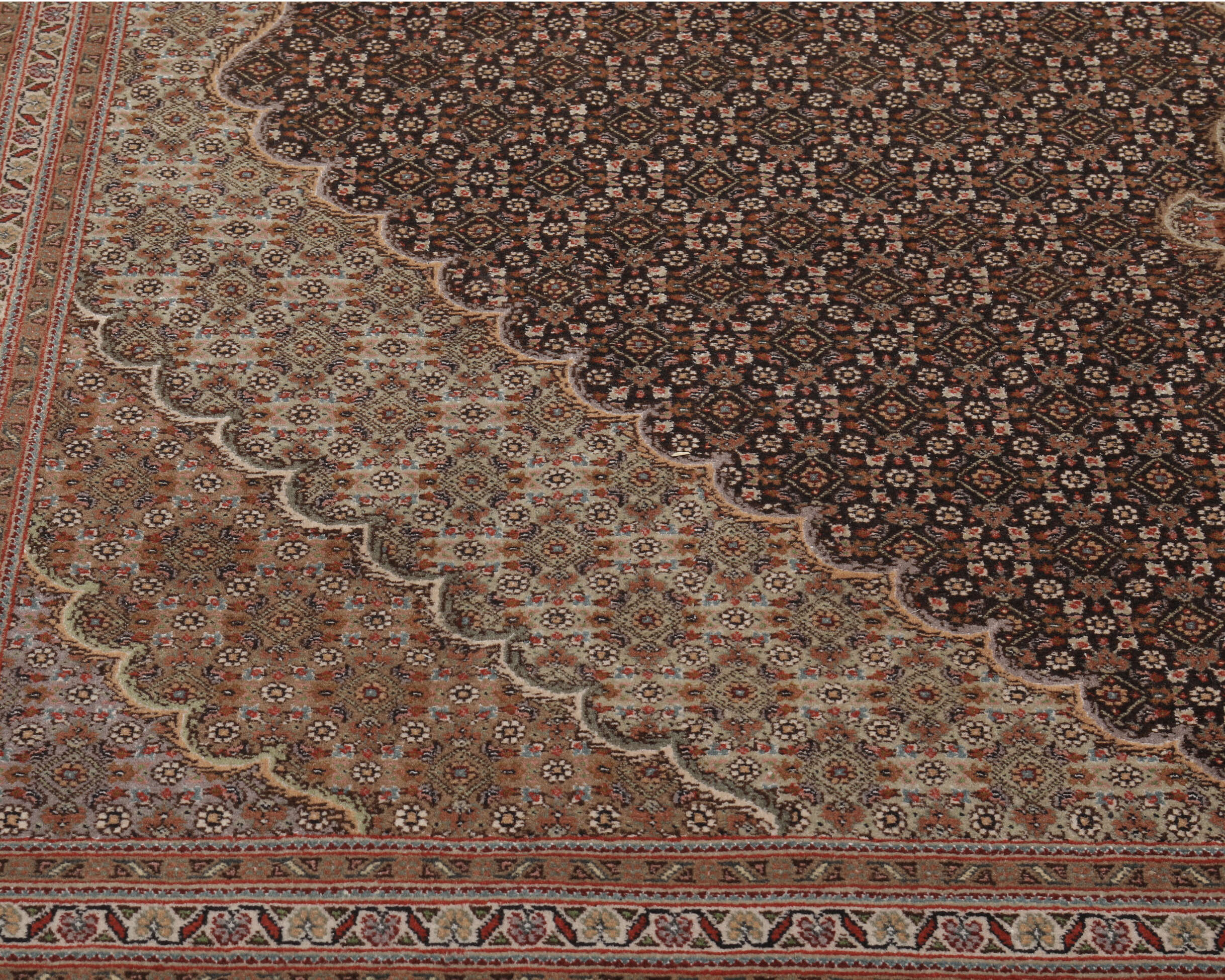 
    Tabriz 50 Raj - Brown - 205 x 295 cm
  