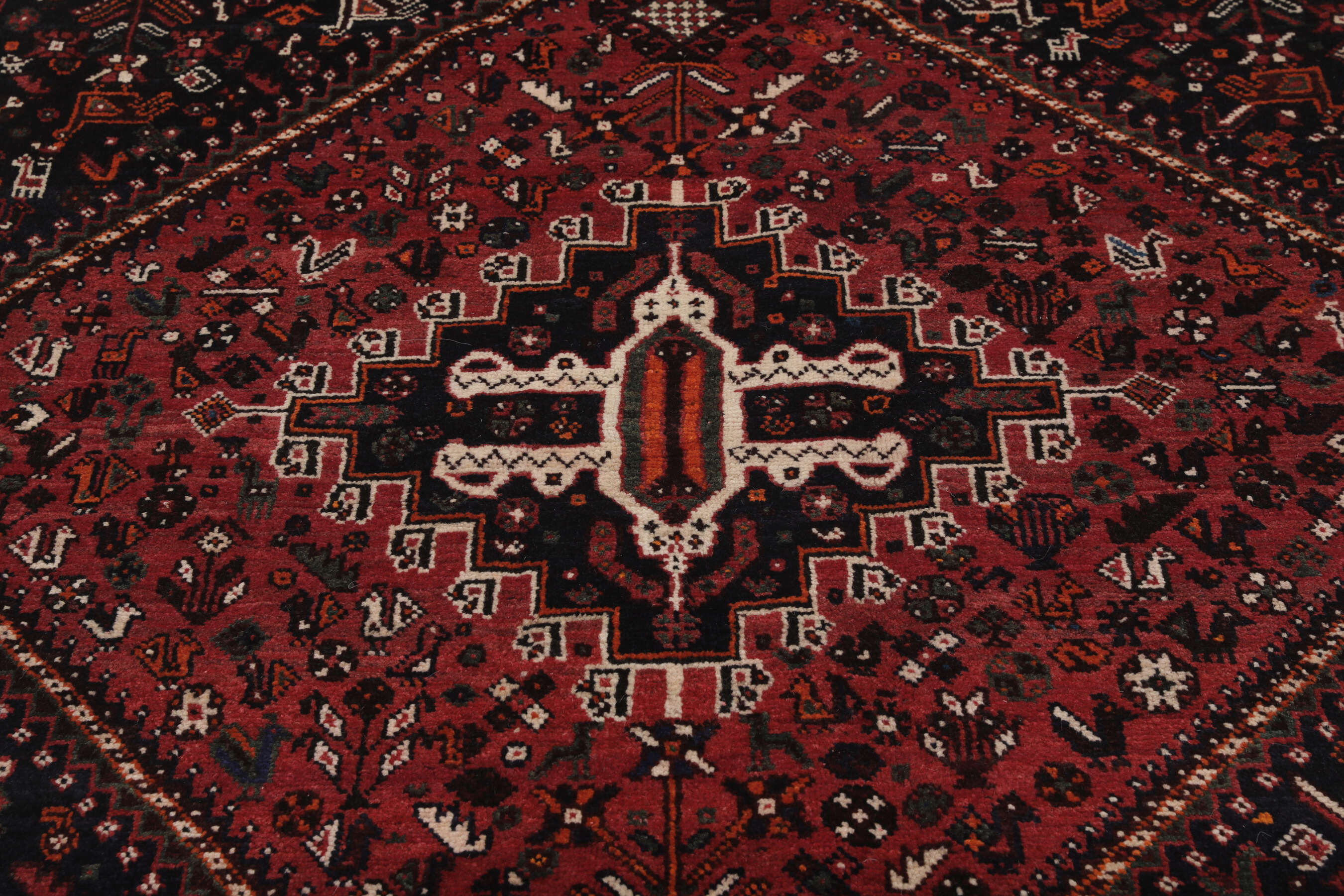 
    Shiraz - Black - 167 x 215 cm
  