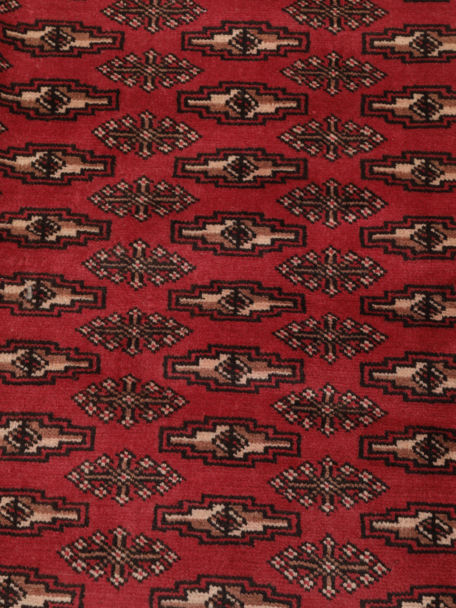 
    Turkaman - Dark red - 202 x 285 cm
  