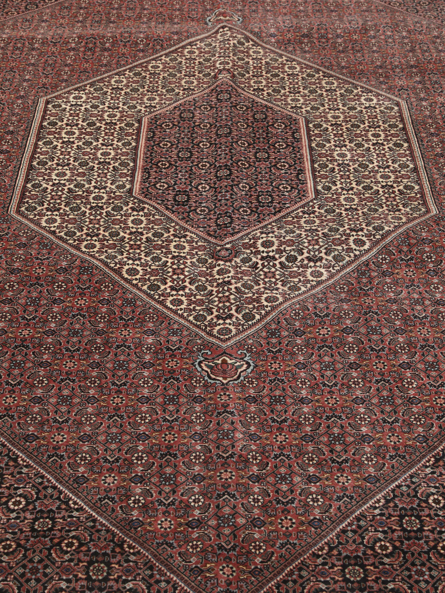 
    Bidjar Takab / Bukan - Dark red - 295 x 382 cm
  