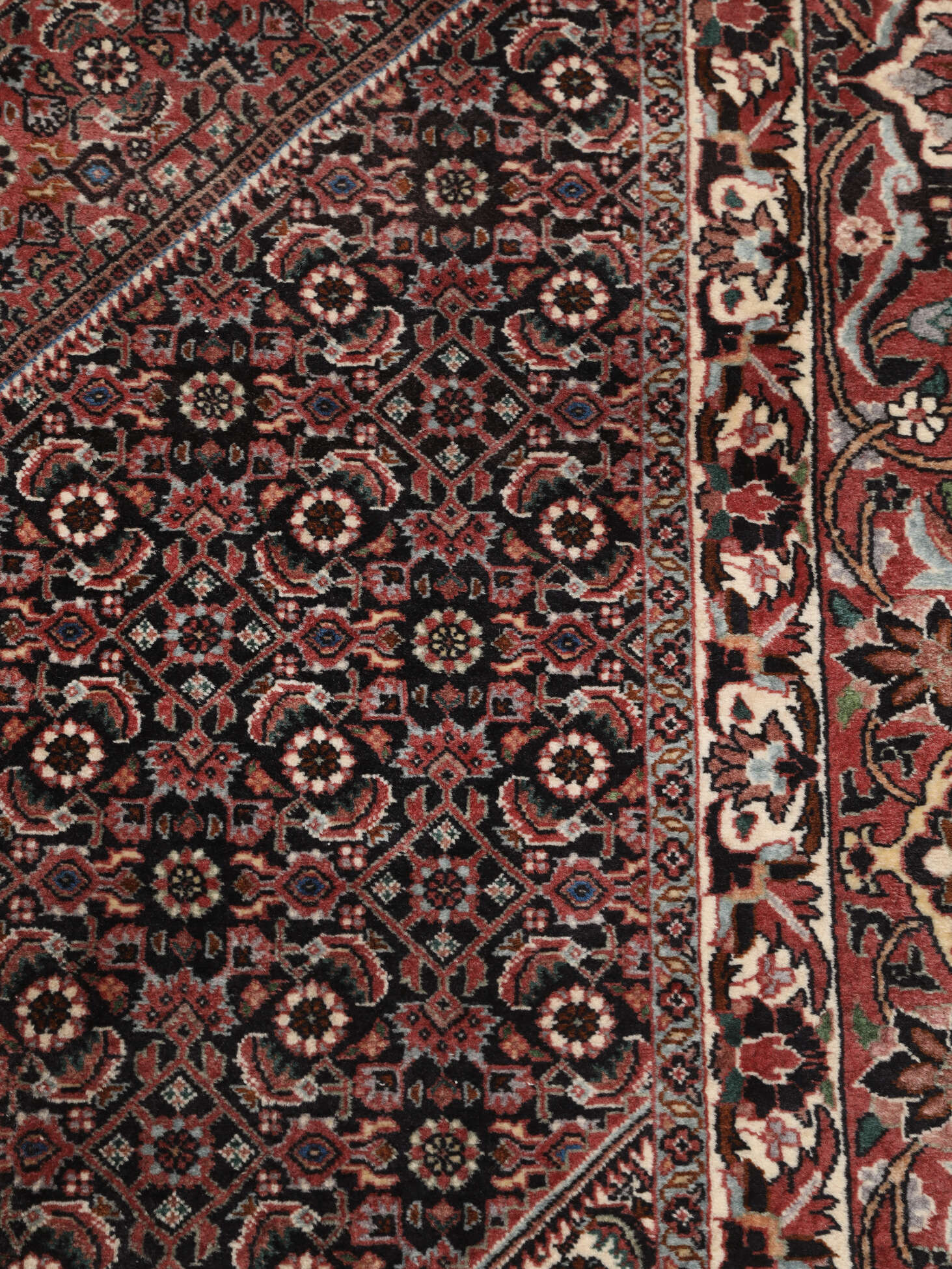 
    Bidjar Takab / Bukan - Dark red - 295 x 382 cm
  