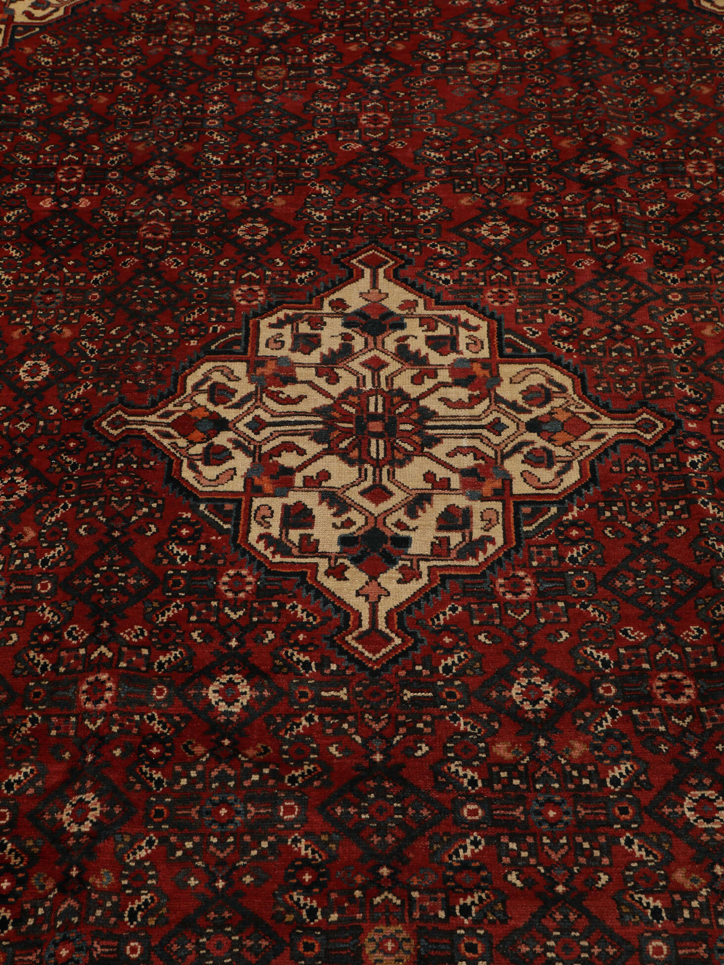
    Hosseinabad - Black - 220 x 310 cm
  