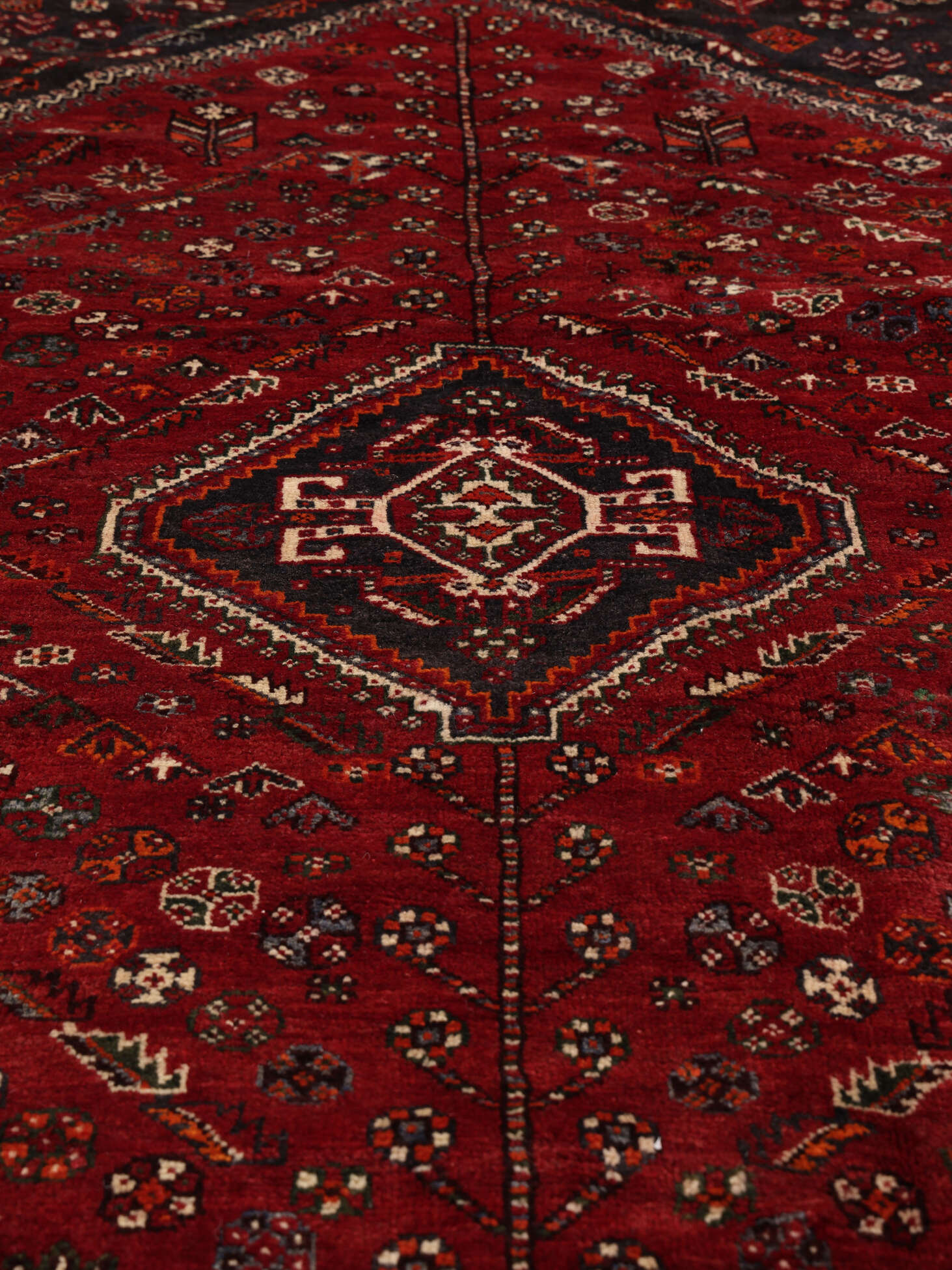 
    Qashqai Fine - Dark red - 179 x 256 cm
  