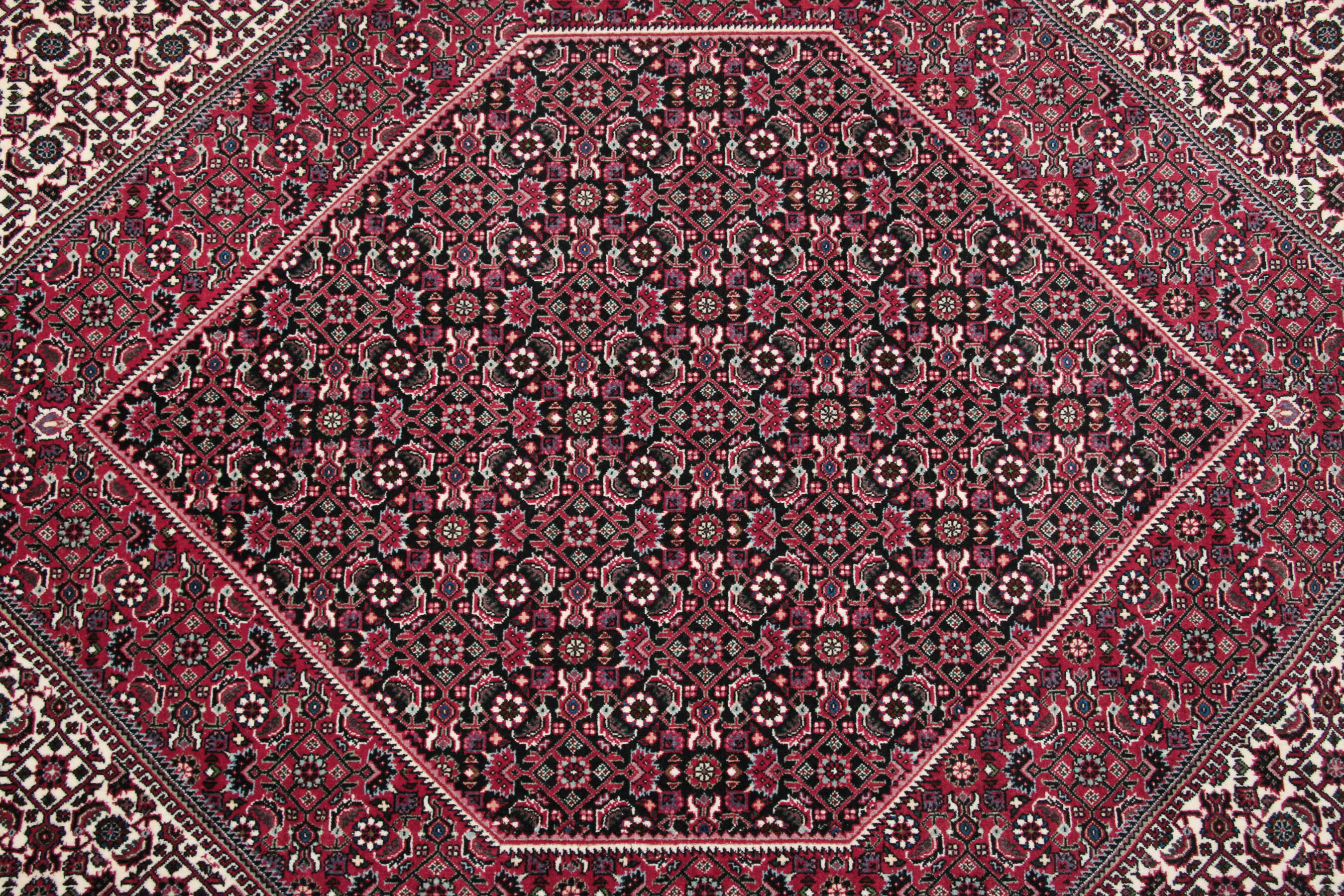 
    Bidjar Takab / Bukan - Black - 253 x 302 cm
  