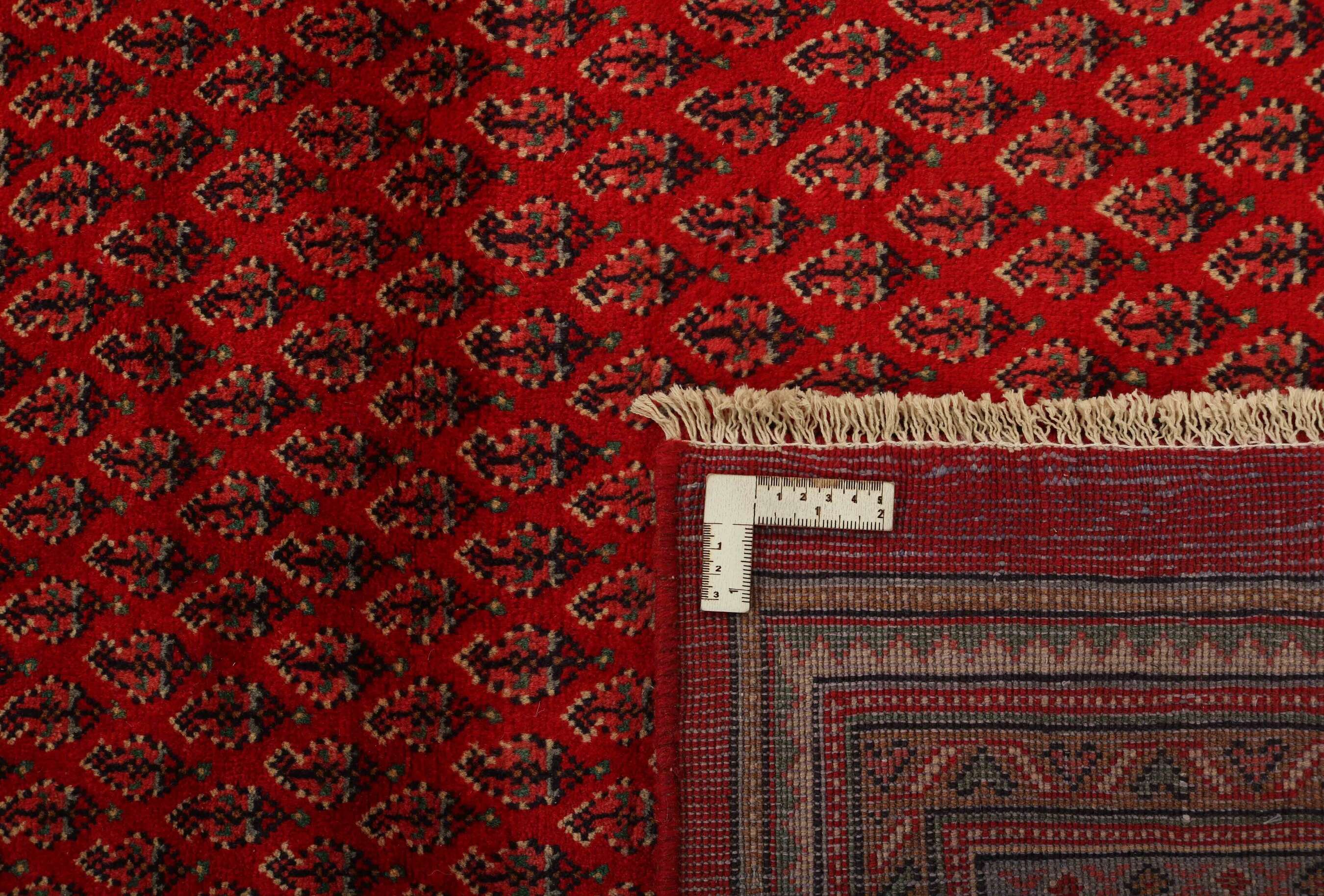 
    Sarouk Mir - Dark red - 298 x 403 cm
  