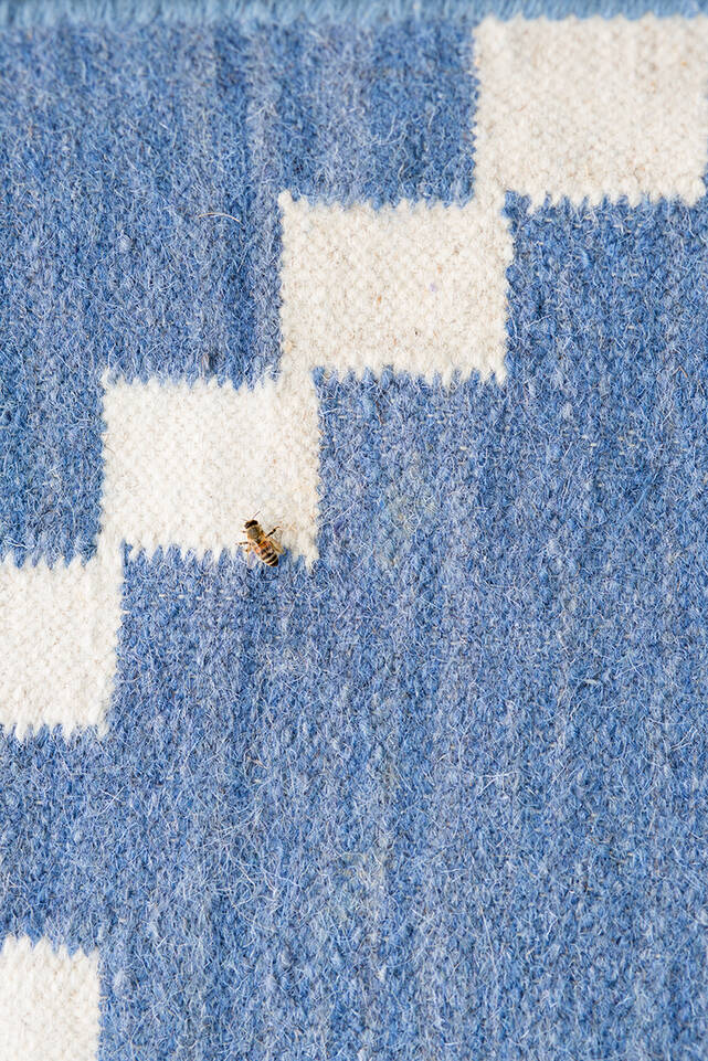 Niebieski,  dywan kilim nowoczesne w korytarz.