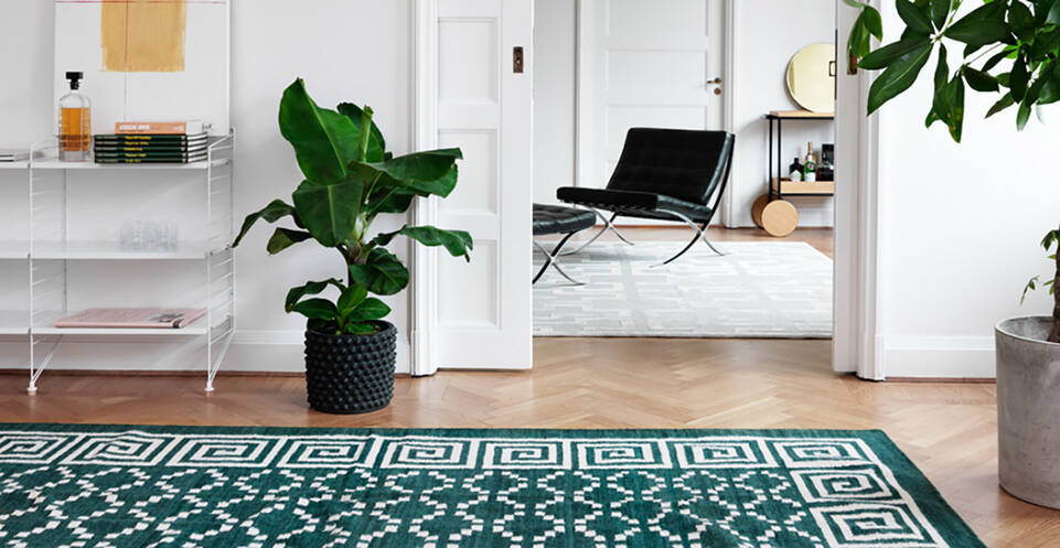 Blue  kilim modern -  Carpet in a living room.