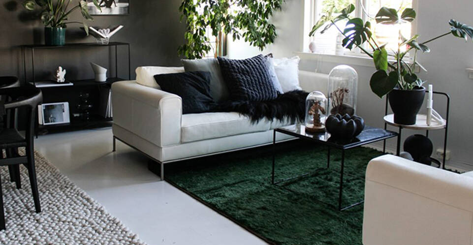 Green  moroccan berber - afghanistan -  Carpet in a living room.