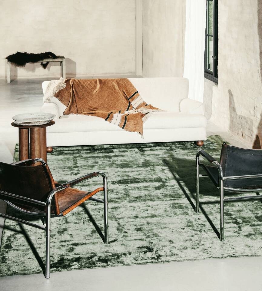 リビングルーム内の緑色のてビスコース モダン絨毯。