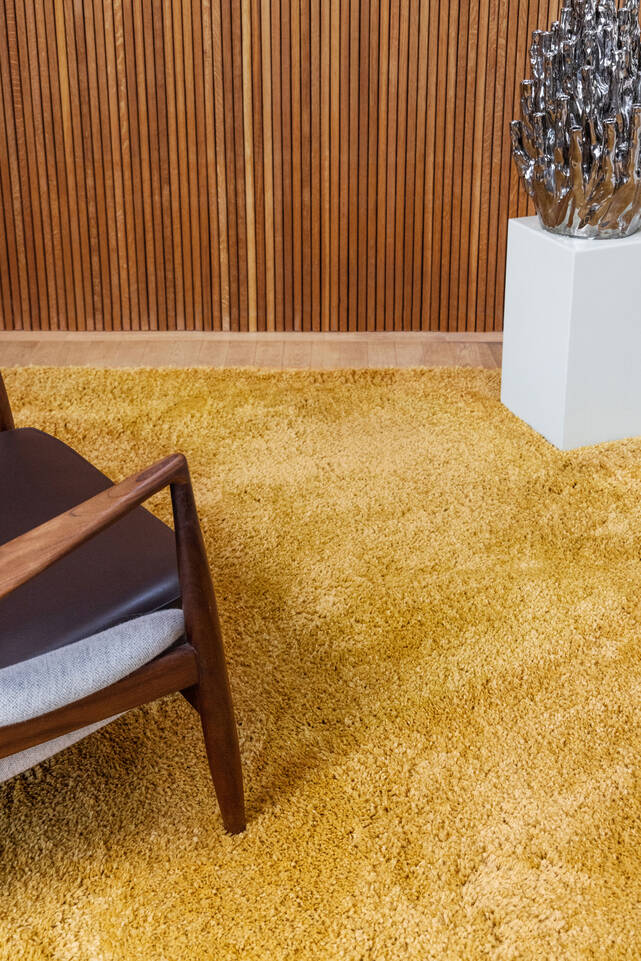 Brown / yellow  kids carpet -   in a living room.