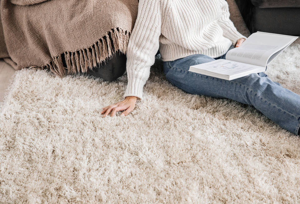 White  kaplan shaggy lotus -  Carpet in a living room.