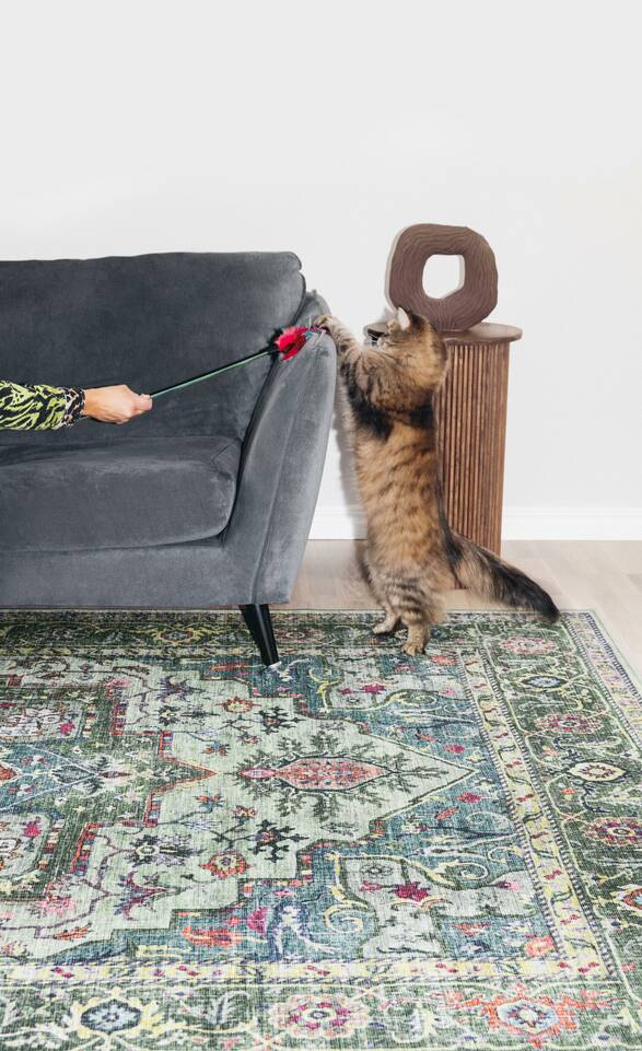 Green  kaplan floors printed -  Carpet in a living room.