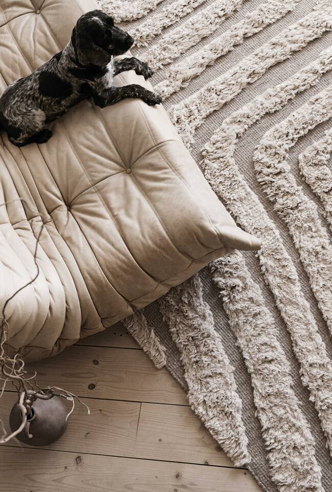 White rectangular high & low handknotted wool -  Carpet in a living room.