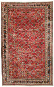 297X478 Dywan Orientalny Kaszkaj Duży (Wełna, Persja/Iran) Carpetvista