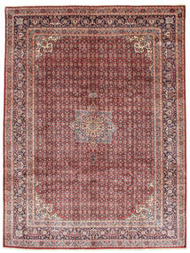 275X372 絨毯 ハマダン シャフバフ オリエンタル 大きな (ウール, ペルシャ/イラン) Carpetvista