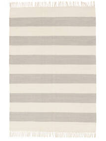  140X200 Cotton Stripe グレー/オフホワイト 小 絨毯