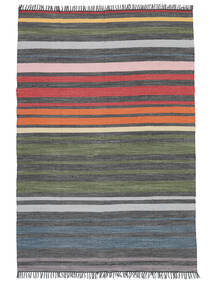  200X300 Gestreift Rainbow Stripe Teppich - Mehrfarbig Baumwolle