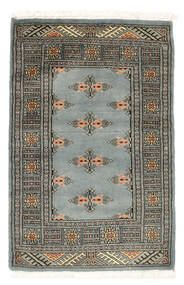  Pakistan 2Ply Rug 62X96 Wool Small Carpetvista