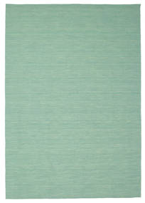 Kelim Loom 220X320 Mint Green Plain (Single Colored) Wool Rug