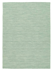 Kelim Loom 200X300 Mint Green Plain (Single Colored) Wool Rug 