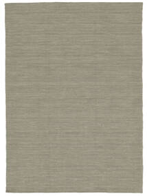  160X230 Plain (Single Colored) Kilim Loom Rug - Light Grey/Beige Wool