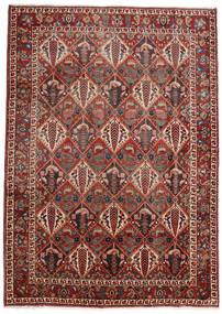208X296 Bachtiar Teppich Orientalischer (Wolle, Persien/Iran) Carpetvista