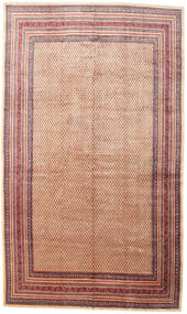314X532 Sarouk Rug Oriental Large (Wool, Persia/Iran) Carpetvista