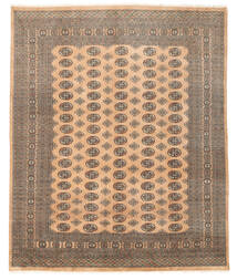  248X297 Medaillon Groß Pakistan Buchara 2Ply Teppich Wolle, Carpetvista