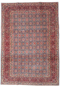  Orientalischer Hamadan Shahrbaf Patina Teppich 215X307 Wolle, Persien/Iran Carpetvista