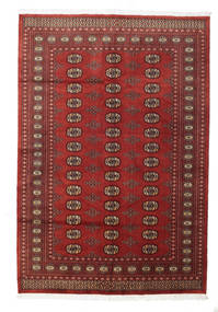 169X249 絨毯 パキスタン ブハラ 2Ply オリエンタル (ウール, パキスタン) Carpetvista